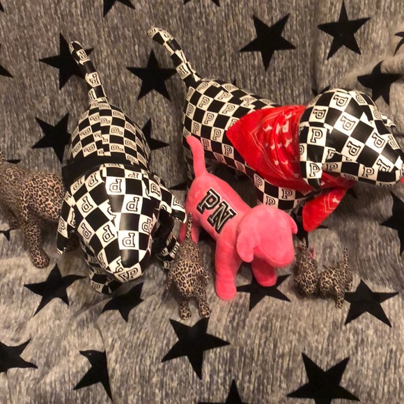 💕⭐️VS PINK⭐️💕GIANT PUPS❣️😱🤗HUGE DISPLAY DOGS🐶 - Picture 5 of 6